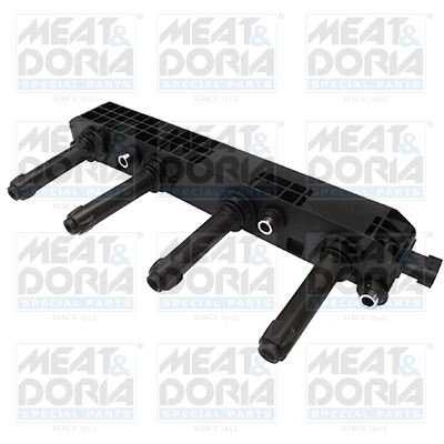 Bobine Meat Doria 10630