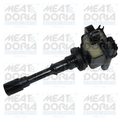 Bobine Meat Doria 10641