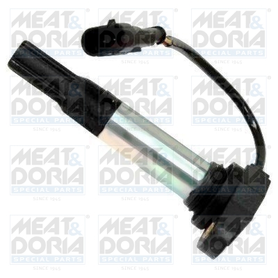 Bobine Meat Doria 10707
