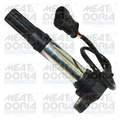 Bobine Meat Doria 10708
