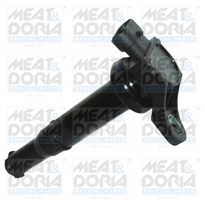Bobine Meat Doria 10725
