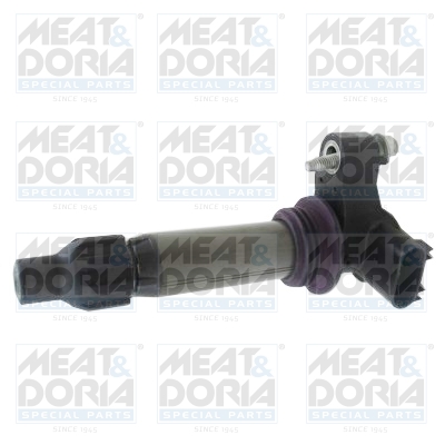 Bobine Meat Doria 10813