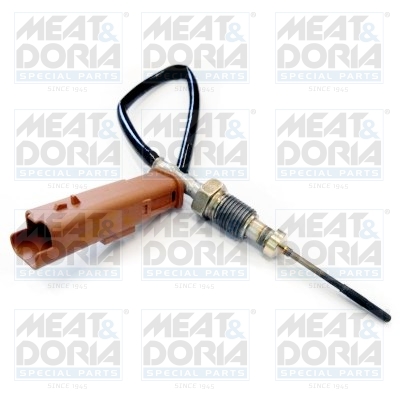 Sensor uitlaatgastemperatuur Meat Doria 11903