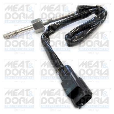 Sensor uitlaatgastemperatuur Meat Doria 12001