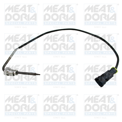 Sensor uitlaatgastemperatuur Meat Doria 12045