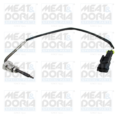 Sensor uitlaatgastemperatuur Meat Doria 12048E