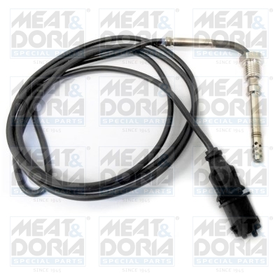 Sensor uitlaatgastemperatuur Meat Doria 12062