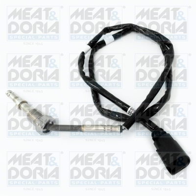 Sensor uitlaatgastemperatuur Meat Doria 12063