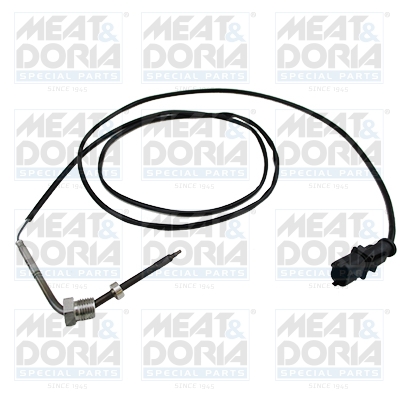 Sensor uitlaatgastemperatuur Meat Doria 12076