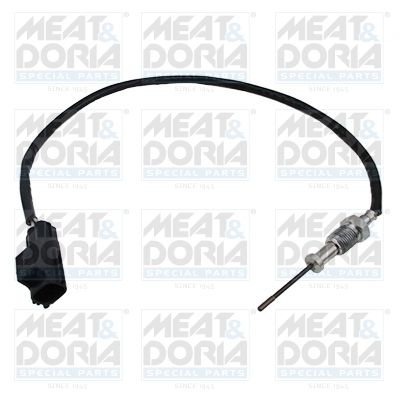 Sensor uitlaatgastemperatuur Meat Doria 12086E