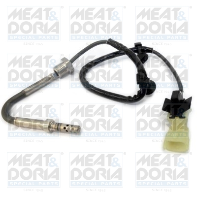 Sensor uitlaatgastemperatuur Meat Doria 12089