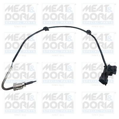 Sensor uitlaatgastemperatuur Meat Doria 12089E