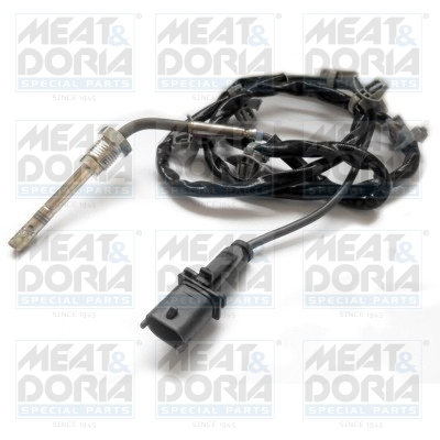 Sensor uitlaatgastemperatuur Meat Doria 12095