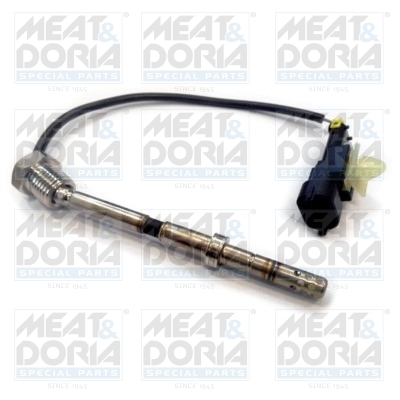 Sensor uitlaatgastemperatuur Meat Doria 12096