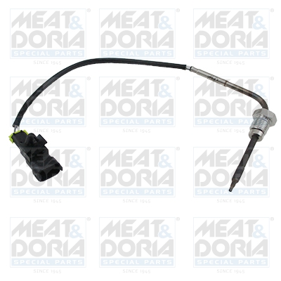 Sensor uitlaatgastemperatuur Meat Doria 12102E