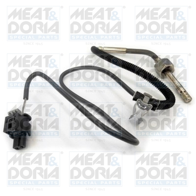 Sensor uitlaatgastemperatuur Meat Doria 12105