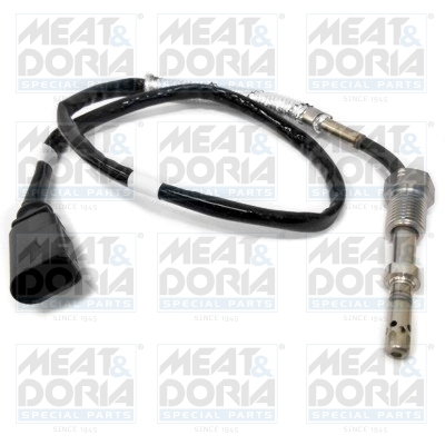 Sensor uitlaatgastemperatuur Meat Doria 12133