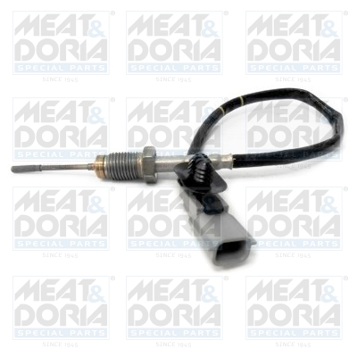 Sensor uitlaatgastemperatuur Meat Doria 12134