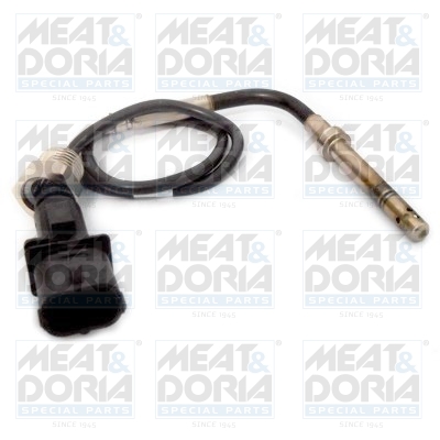 Sensor uitlaatgastemperatuur Meat Doria 12141