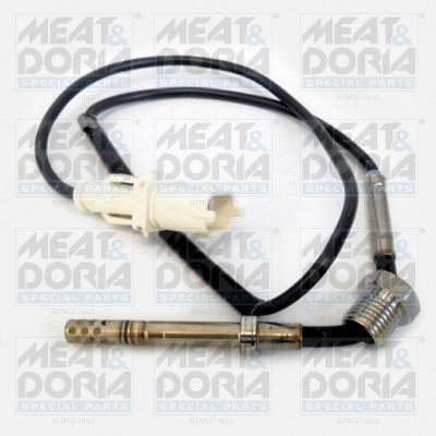 Sensor uitlaatgastemperatuur Meat Doria 12146