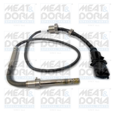 Sensor uitlaatgastemperatuur Meat Doria 12153