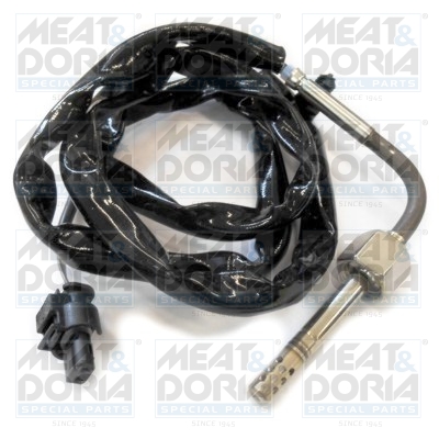 Sensor uitlaatgastemperatuur Meat Doria 12156