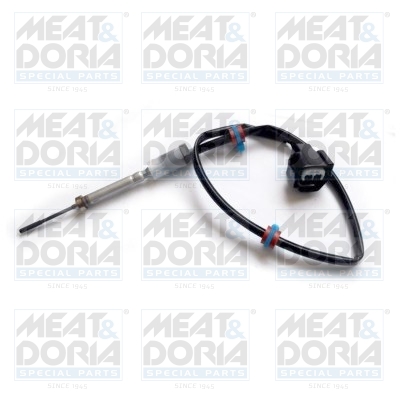 Sensor uitlaatgastemperatuur Meat Doria 12177