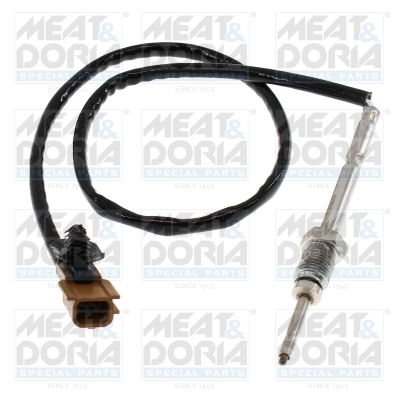 Sensor uitlaatgastemperatuur Meat Doria 12185