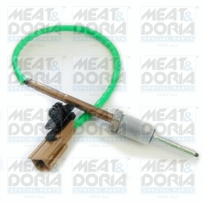 Sensor uitlaatgastemperatuur Meat Doria 12186