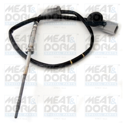 Sensor uitlaatgastemperatuur Meat Doria 12193