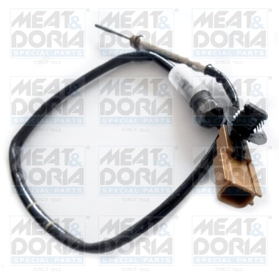 Sensor uitlaatgastemperatuur Meat Doria 12194