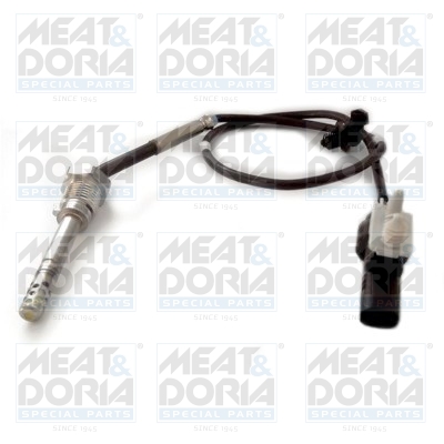 Sensor uitlaatgastemperatuur Meat Doria 12201