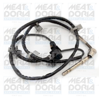 Sensor uitlaatgastemperatuur Meat Doria 12207