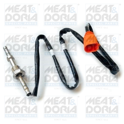 Sensor uitlaatgastemperatuur Meat Doria 12236