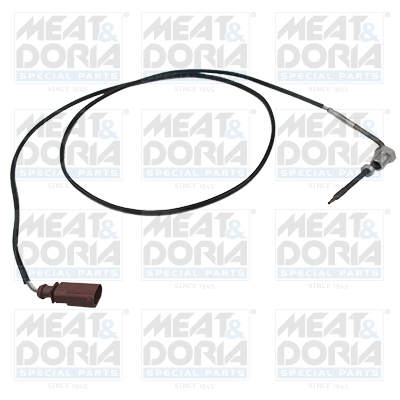 Sensor uitlaatgastemperatuur Meat Doria 12243E