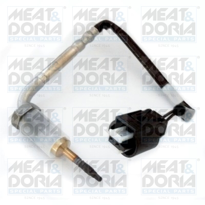 Sensor uitlaatgastemperatuur Meat Doria 12276