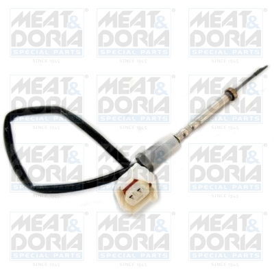 Sensor uitlaatgastemperatuur Meat Doria 12290