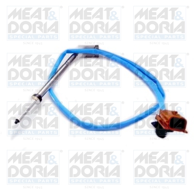 Sensor uitlaatgastemperatuur Meat Doria 12291