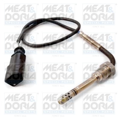 Sensor uitlaatgastemperatuur Meat Doria 12341