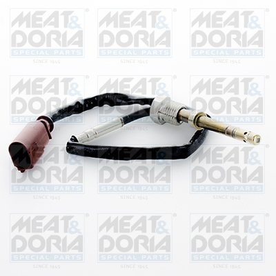 Sensor uitlaatgastemperatuur Meat Doria 12343