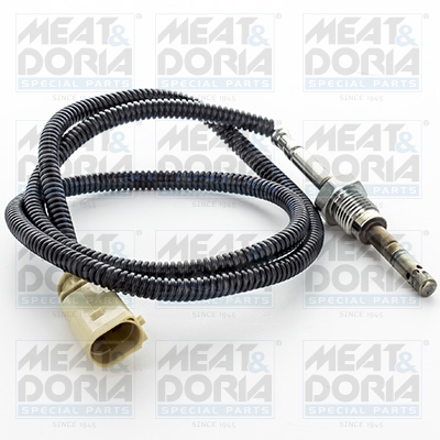 Sensor uitlaatgastemperatuur Meat Doria 12344