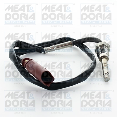 Sensor uitlaatgastemperatuur Meat Doria 12347