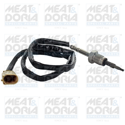 Sensor uitlaatgastemperatuur Meat Doria 12352