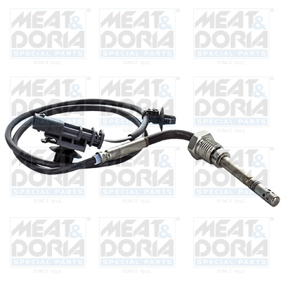 Sensor uitlaatgastemperatuur Meat Doria 12374