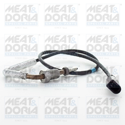 Sensor uitlaatgastemperatuur Meat Doria 12383