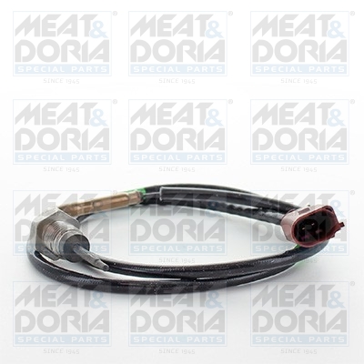 Sensor uitlaatgastemperatuur Meat Doria 12388