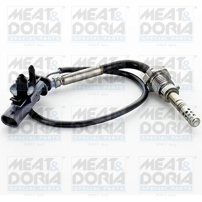 Sensor uitlaatgastemperatuur Meat Doria 12409