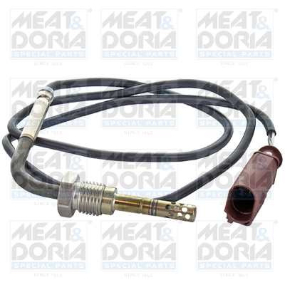 Sensor uitlaatgastemperatuur Meat Doria 12413