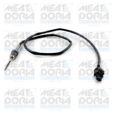 Sensor uitlaatgastemperatuur Meat Doria 12416