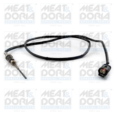 Sensor uitlaatgastemperatuur Meat Doria 12418